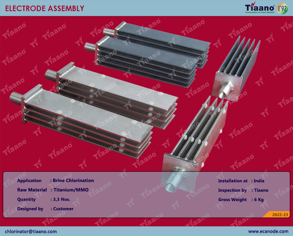 Electrode Assembly
