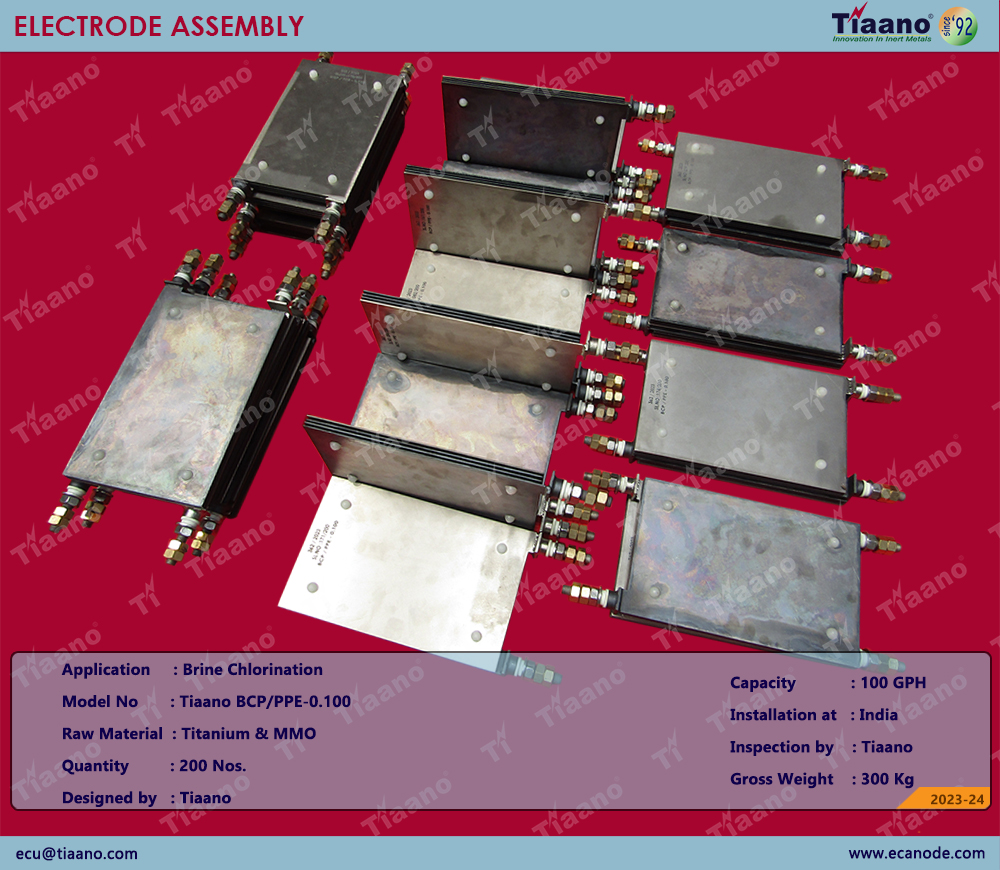 Electrode Assembly-100 GPH
